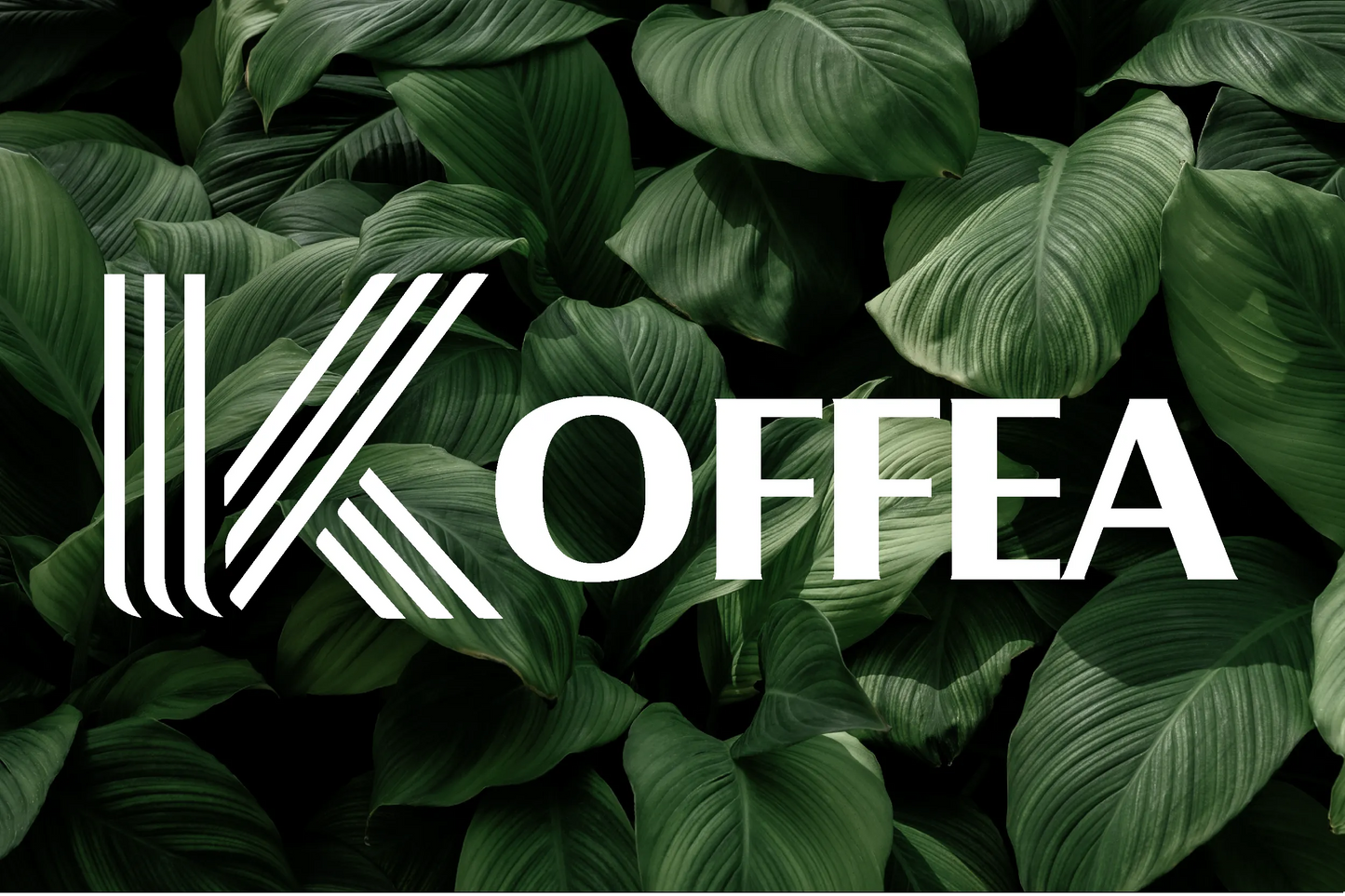 Bienvenue dans l'univers KOFFEA